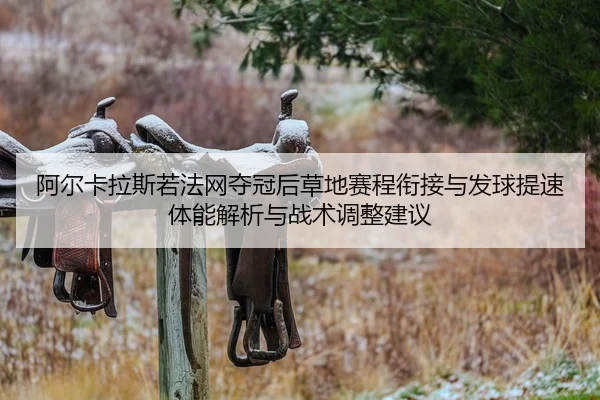 阿尔卡拉斯若法网夺冠后草地赛程衔接与发球提速体能解析与战术调整建议